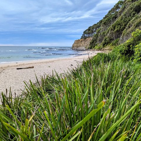 Murramarang National Park, Australia — photograph 8