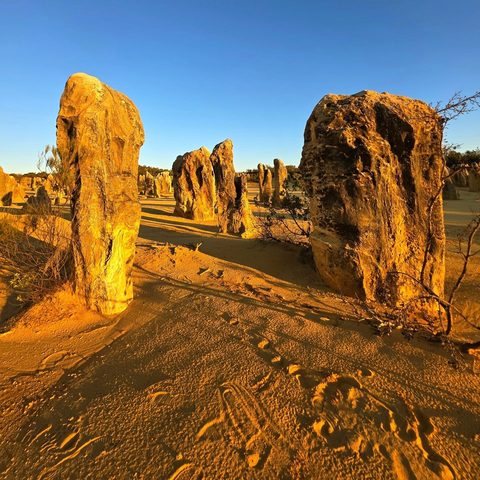 Nambung National Park, Australia — photograph 4