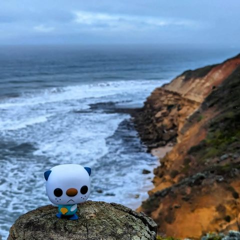 Oshawott figurine at Point Addis Marine National Park, Australia
