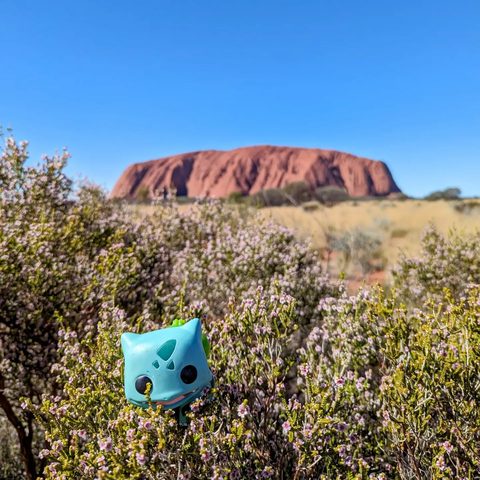 Uluṟu-Kata Tjuṯa National Park, Australia — photograph 2