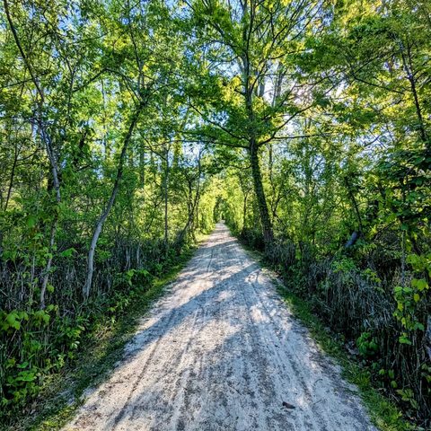 Parc national de la Pointe-Pelée, Canada — photograph 4
