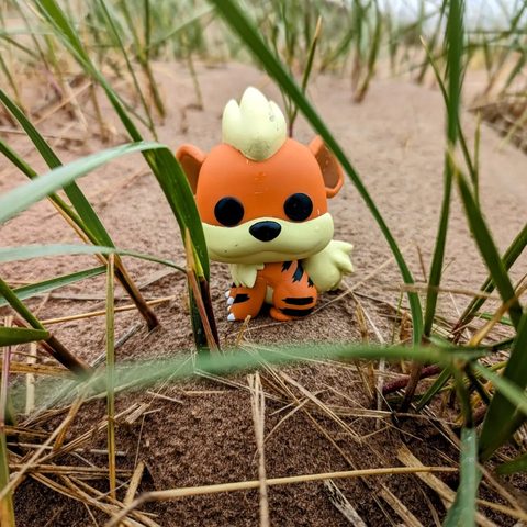 Growlithe figurine at Parc national de l’Île-du-Prince-Édouard, Canada