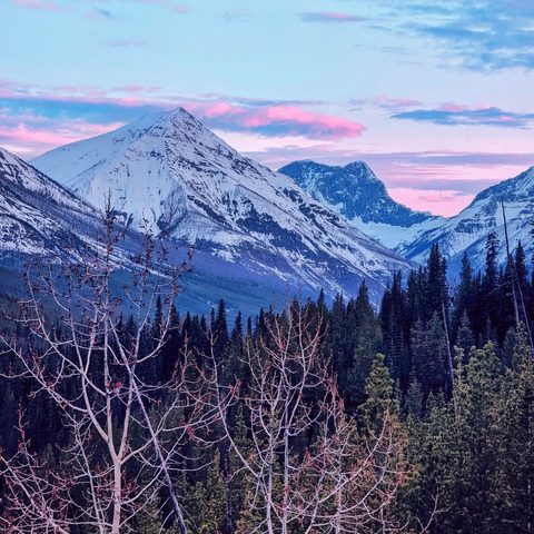 Parc national Kootenay, Canada — photograph 1