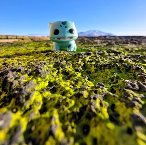 Bulbasaur figurine at Snæfellsjökull National Park, Iceland