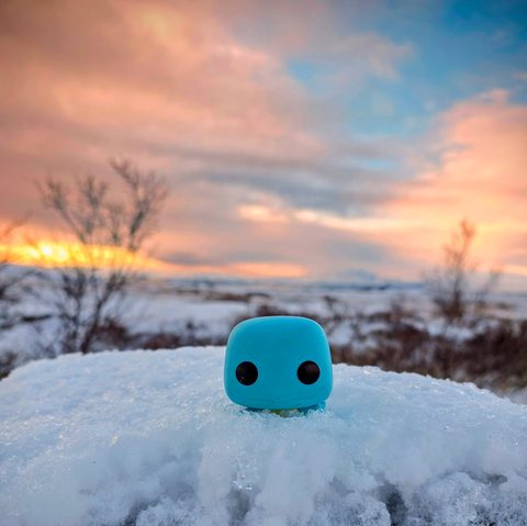 Squirtle figurine at Þingvellir National Park, Iceland
