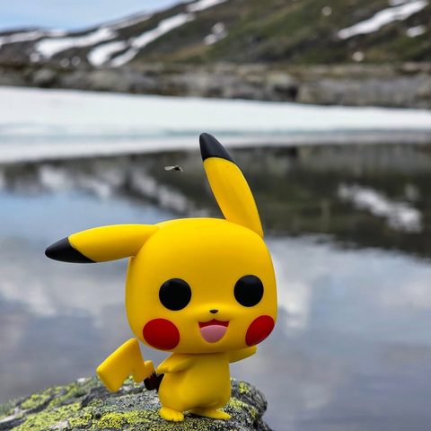 Pikachu figurine at Ånderdalen Nasjonalpark, Norway