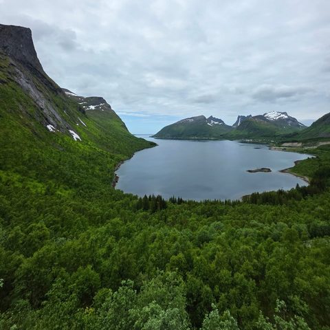 Ånderdalen Nasjonalpark, Norway — photograph 8