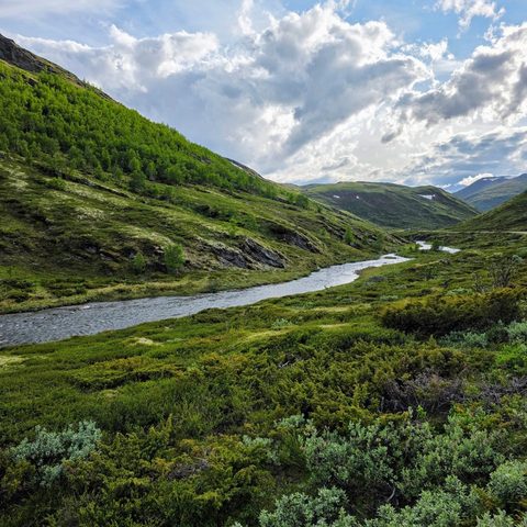 Dovre Nasjonalpark, Norway — photograph 2