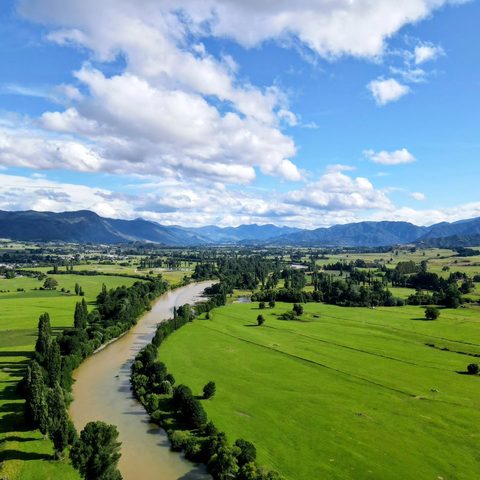 River through green pasture, New Zealand