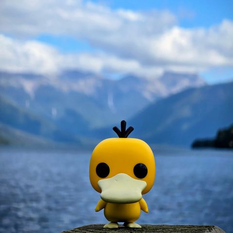 Psyduck figurine at Nelson Lakes National Park, New Zealand