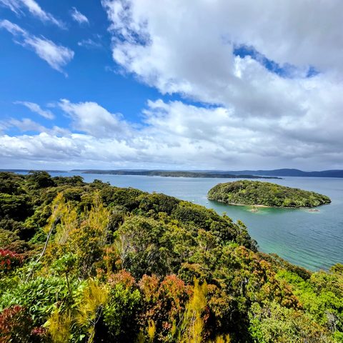 Rakiura National Park, New Zealand — photograph 2