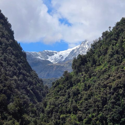 Westland Tai Poutini National Park, New Zealand — photograph 6