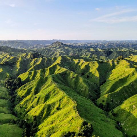 Whanganui National Park, New Zealand — photograph 1
