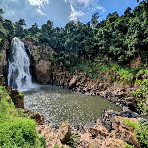Khao Yai National Park, Thailand — photograph 2