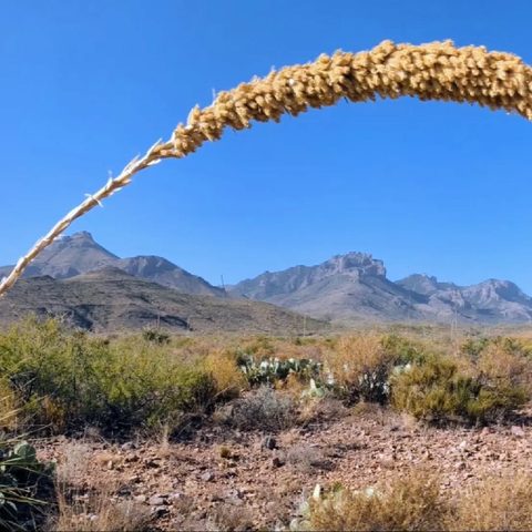 Big Bend National Park, United States — photograph 3