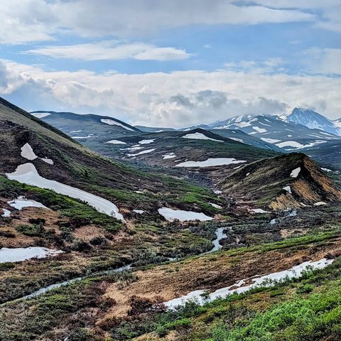 Denali National Park, United States — photograph 2