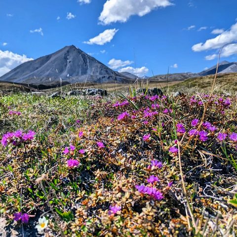 Gates of the Arctic National Park, United States — photograph 4
