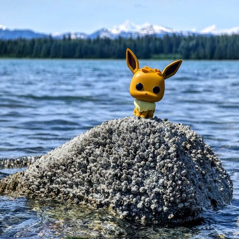 Eevee figurine at Glacier Bay National Park, United States
