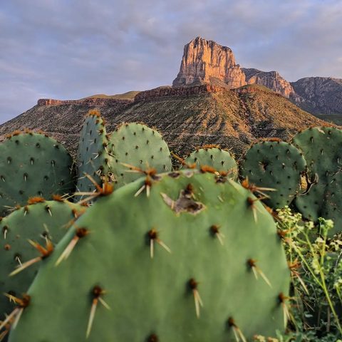 Guadalupe Mountains National Park, United States — photograph 5