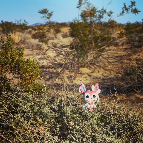 Sylveon figurine at Joshua Tree National Park, United States