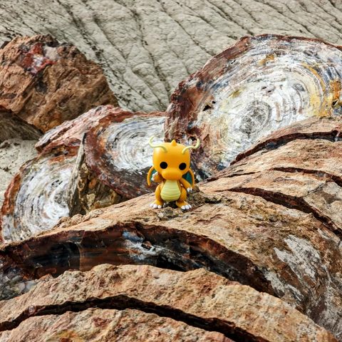 Dragonite figurine at Petrified Forest National Park, United States