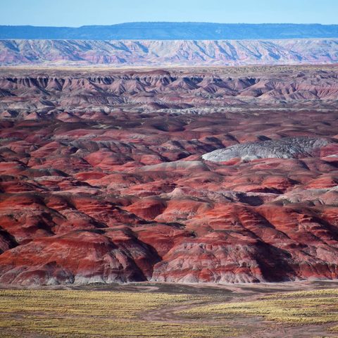 Petrified Forest National Park, United States — photograph 10