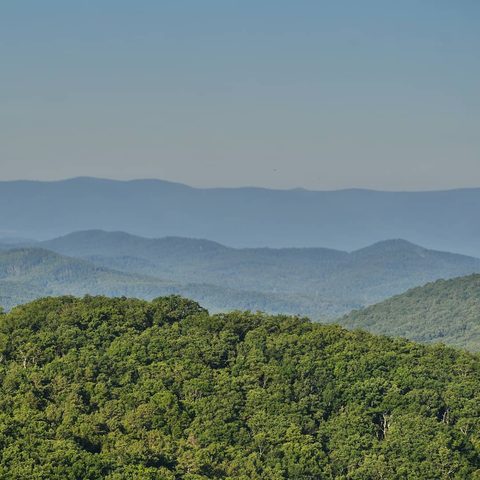 Shenandoah National Park, United States — photograph 2