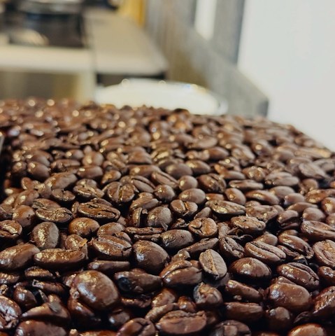 Close view of glossy roasted coffee beans with the background softly blurred.